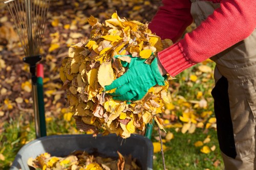 Introduction to Waste Removal Services in Borehamwood